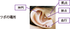 ツボの位置
